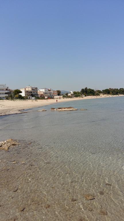 Nineta'S House Sea View Near The Airport Villa Artemida  Exterior photo